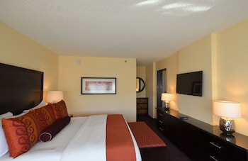 Suite, 1 Bedroom, 1 King Bed