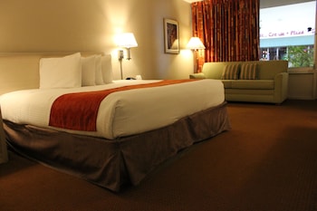 Standard Room, 1 King Bed, Courtyard View