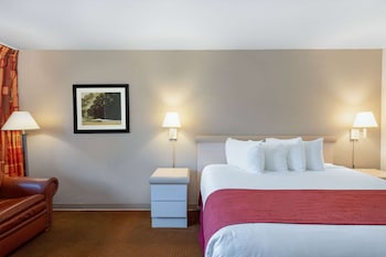 Standard Room, 1 King Bed