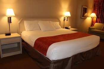 Standard Room, 1 King Bed, Courtyard View