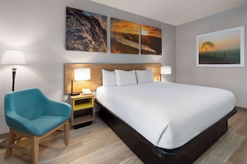 Room, 1 King Bed, Accessible, Non Smoking (Mobility, Bathtub W/grab Bars)