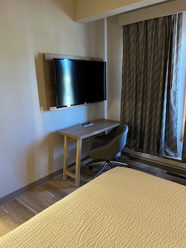 Suite, 1 King Bed, Non Smoking (One-Bedroom)