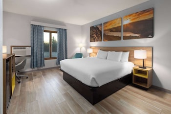 Room, 1 King Bed, Accessible, Non Smoking (Mobility, Bathtub W/grab Bars)