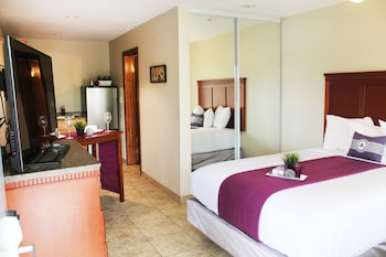 Studio Suite, 1 Bedroom, Kitchen