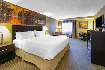Room, 1 King Bed, Non Smoking