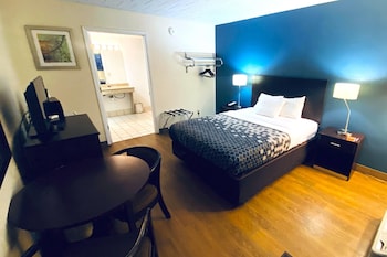 Room, 1 Queen Bed, Mobility Accessible, Non Smoking (Bathtub w/ Grab Bars)