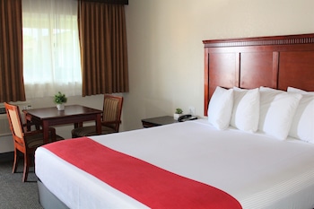 Standard Room, 1 Queen Bed, Non Smoking