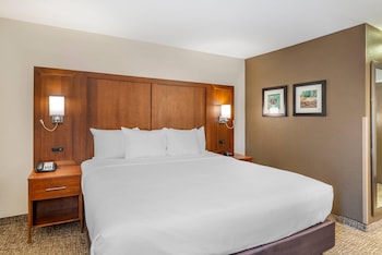 Room, 1 King Bed, Non Smoking (Pet Friendly)