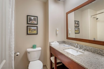 Room, 1 King Bed, Non Smoking (Pet Friendly)