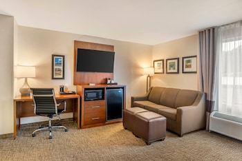 Room, 1 King Bed, Non Smoking (Larger Unit)