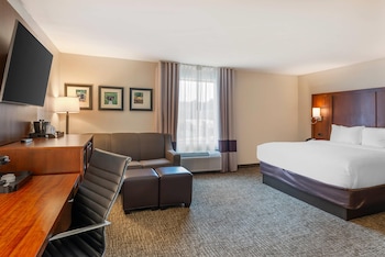 Room, 1 King Bed, Non Smoking (Larger Unit)