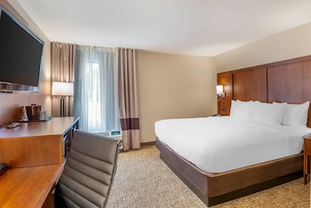 Room, 1 King Bed, Non Smoking (Pet Friendly)