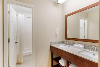 Room, 1 King Bed, Non Smoking (Larger Unit)