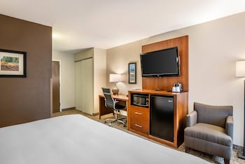 Room, 1 King Bed, Non Smoking (Pet Friendly)