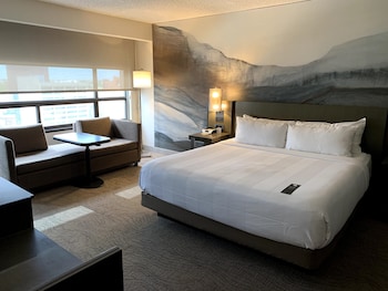 Room, 1 King Bed