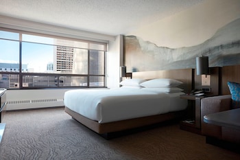 Room, 1 King Bed