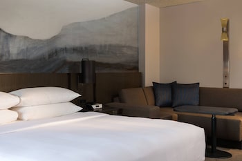 Room, 1 King Bed