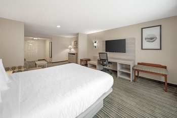 Suite, 1 King Bed, Non Smoking, Refrigerator & Microwave (with Single Sofabed)