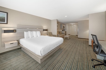 Suite, 1 King Bed, Non Smoking, Refrigerator & Microwave (with Single Sofabed)