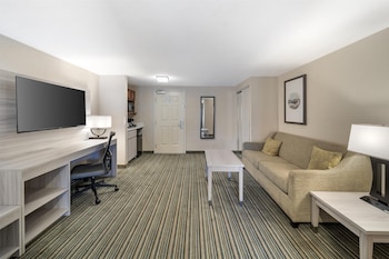 Family Suite, Multiple Beds, Non Smoking, Refrigerator & Microwave (with Single Sofabed)