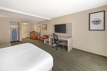 Suite, 1 King Bed, Accessible, Refrigerator & Microwave (with Single Sofabed)