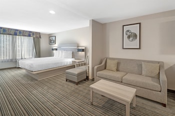 Suite, 1 King Bed, Non Smoking, Refrigerator & Microwave (with Single Sofabed)