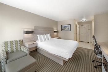Standard Room, 1 King Bed, Non Smoking, Refrigerator & Microwave (Pet Friendly)