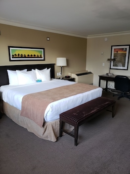 Studio Suite, 1 King Bed, Non Smoking (Upper Floor)