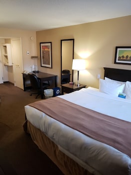 Room, 1 King Bed, Non Smoking, Courtyard View