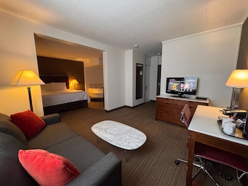 Premium Room, 1 King Bed with Sofa bed, Bathtub