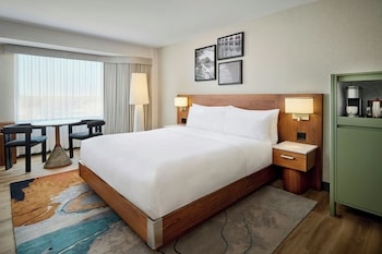 Room, 1 King Bed