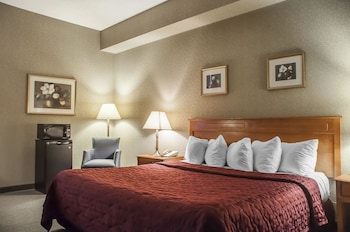 Room, 1 King Bed, Refrigerator & Microwave, Ground Floor