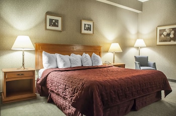 Room, 1 King Bed, Refrigerator & Microwave, Ground Floor