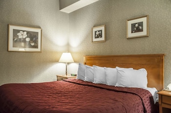 Room, 1 King Bed, Refrigerator & Microwave, Ground Floor