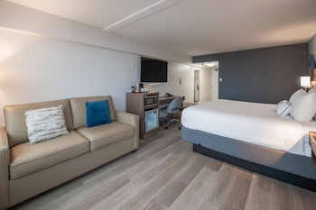 Room, 1 King Bed with Sofa bed (Coast King)