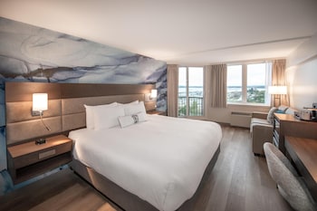 Room, 1 King Bed with Sofa bed (Coast King)