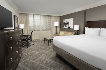 Standard Room, 1 King Bed with Sofa bed