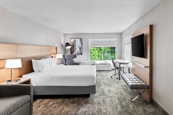 Room, 1 King Bed, Non Smoking