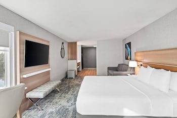 Room, 1 King Bed, Non Smoking