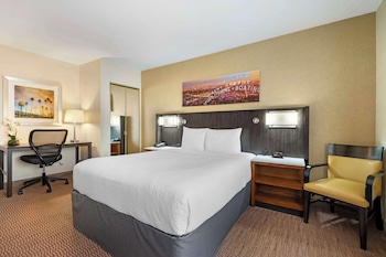 Standard Room, 1 Queen Bed, Non Smoking, Refrigerator & Microwave (Pet Friendly)
