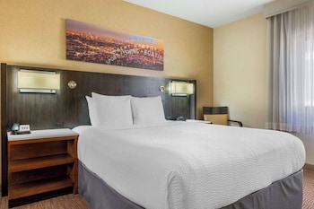 Standard Room, 1 Queen Bed, Non Smoking, Refrigerator & Microwave (Pet Friendly)