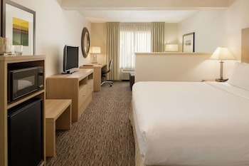 Room, 1 King Bed