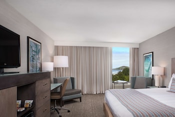 Standard Room, 1 King Bed, Bathtub (Non Pet Friendly)