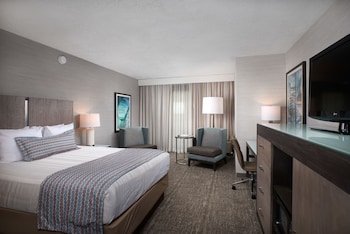 Standard Room, 1 King Bed, Bathtub (Non Pet Friendly)