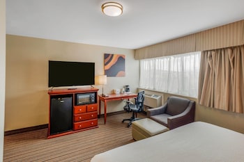 Room, 1 King Bed, Non Smoking