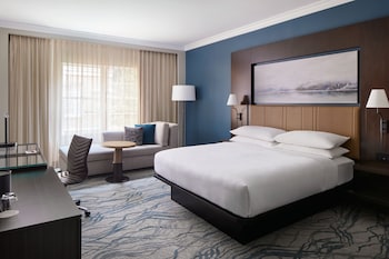 Room, 1 King Bed (Mobility/Hearing Access, Roll-In Shwr)