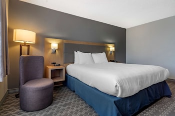 Executive Room, 1 King Bed, Non Smoking