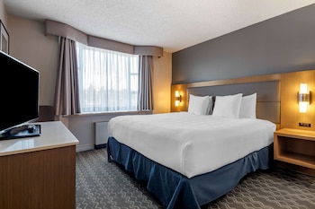 Executive Room, 1 King Bed, Non Smoking