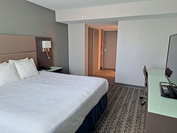 Executive Room, 1 King Bed, Non Smoking (Shower Only)
