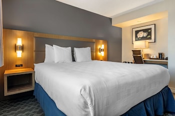 Executive Room, 1 King Bed, Non Smoking